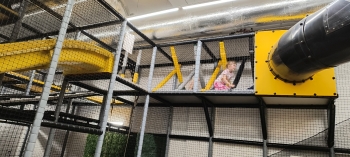IMG_20250425_092027725_HDR