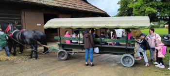 IMG_20250609_092526002_HDR