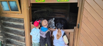 IMG_20250609_095502014_HDR