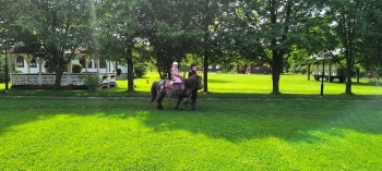 IMG_20250609_095533742_HDR