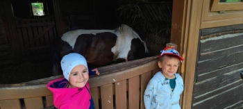 IMG_20250609_095949885_HDR