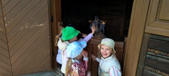 IMG_20250609_101412937