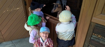 IMG_20250609_101416613