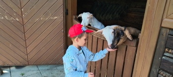 IMG_20250609_102019828_HDR