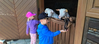 IMG_20250609_102028666_HDR