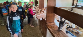 IMG_20250609_102528794_HDR