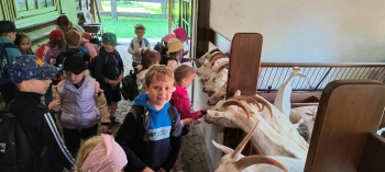 IMG_20250609_102532565_HDR