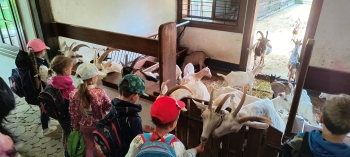 IMG_20250609_102543130_HDR