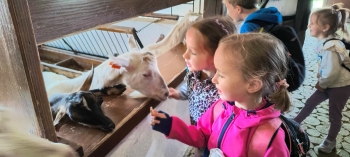 IMG_20250609_102942915_HDR