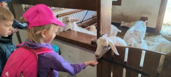 IMG_20250609_102949345_HDR