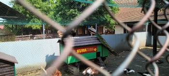 IMG_20250609_103755403_HDR