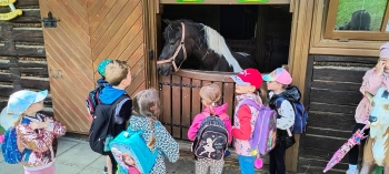 IMG_20250609_104108446_HDR