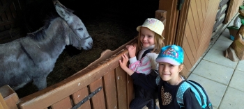 IMG_20250609_104346823