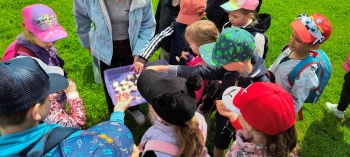 IMG_20250609_104542402_HDR