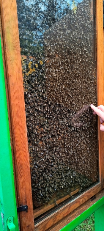 IMG_20250609_111933642