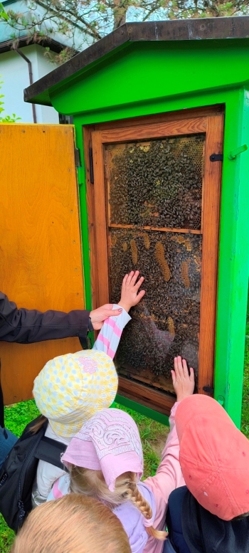 IMG_20250609_112345165_HDR