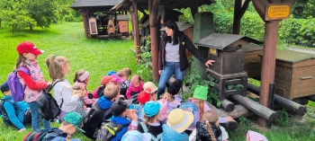 IMG_20250609_112944558_HDR