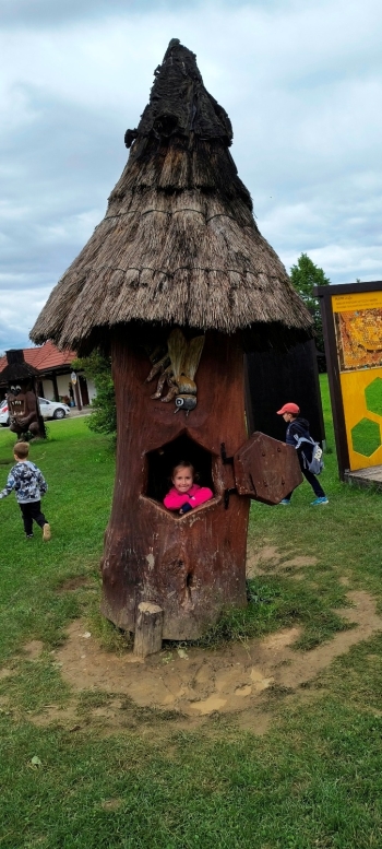 IMG_20250609_121922307