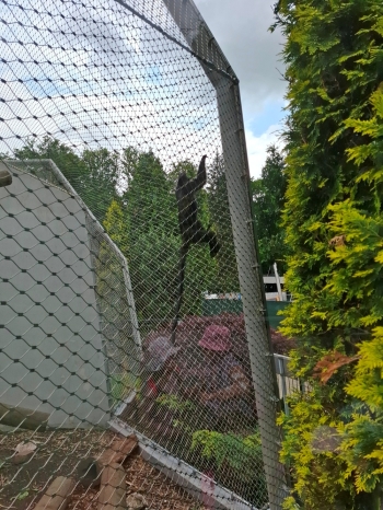 20250611_123139