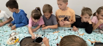 IMG_20250923_110716091