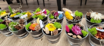 IMG_20250923_112024610_HDR