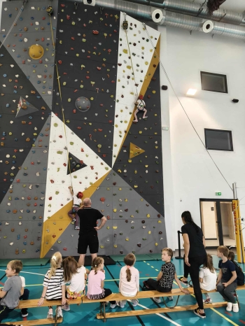 3ca55115-89e8-47a9-a775-d814fe8664c6