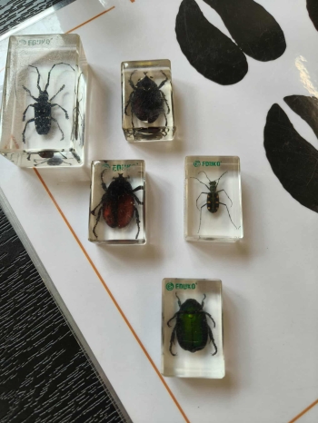 9e8b1c62-60fd-437c-b732-76bf7d898eb9