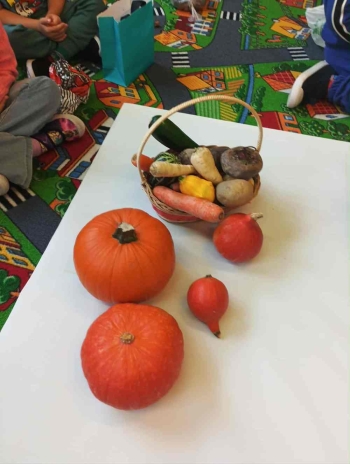 12bd49a2-be26-4eb9-974f-90753c64c5e2