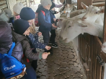 34e27698-bf3b-410f-98ea-8a3a3b74c2d8