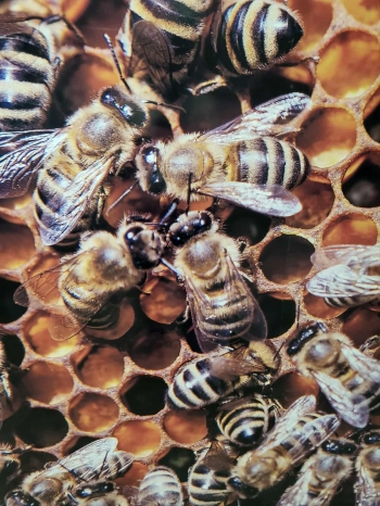 56aec50e-2189-493e-afcc-d6db04c5cd04