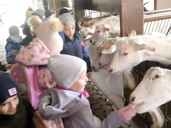 3300de9e-4be1-4c8c-b050-f47ec7f026c6