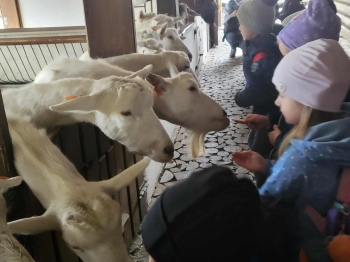 c6c4c018-4a1a-444a-b81f-eee23aef2c95