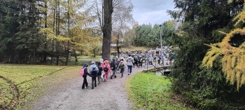 IMG_20251029_091420975_HDR