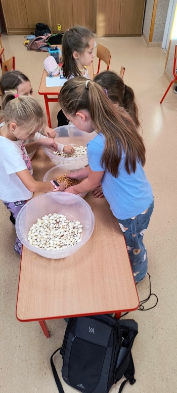 IMG_20251104_142606631_HDR