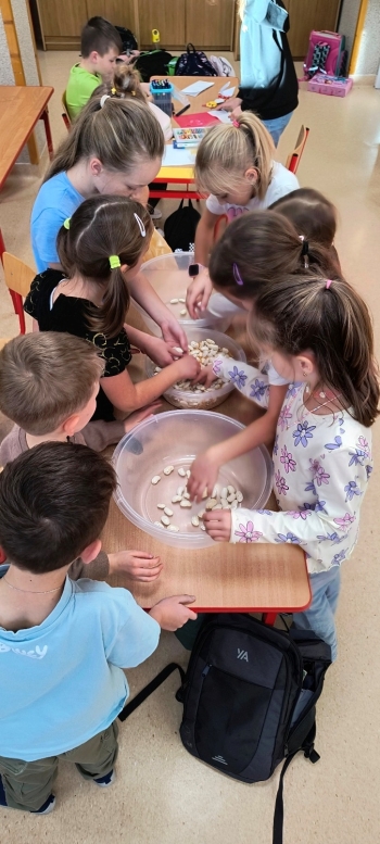 IMG_20251104_141833417_HDR