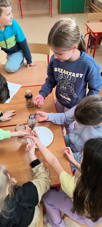 IMG_20260120_131551617_HDR