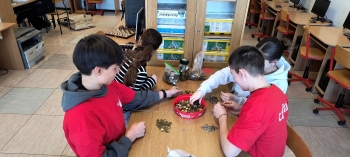 IMG_20260121_115529539