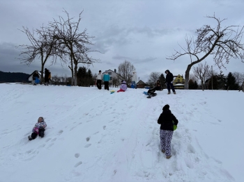 WhatsApp Image 2026-02-07 at 10.04.10 (3).jpeg