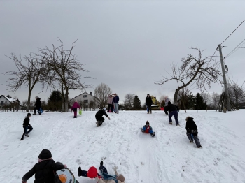 WhatsApp Image 2026-02-07 at 10.04.10 (12).jpeg