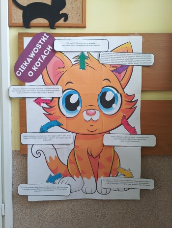 21b71319-207f-4c53-99f2-7062effec485