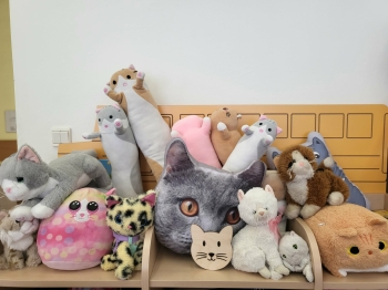 308864ff-be0d-429f-9751-47bca3023570