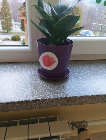 82a3fa1c-cec0-4a43-8f55-cf0b50c2087c