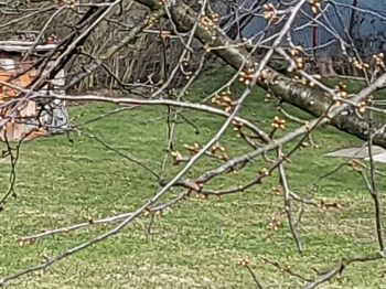 0f967a45-4ee4-45c9-93c7-b77430a3d223