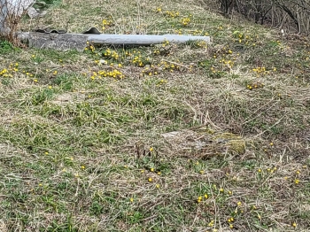 70a26583-1e9d-4d8a-9918-74b16e415696