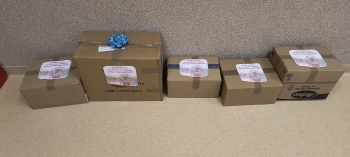 IMG_20260331_150008196