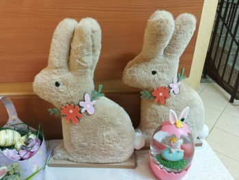 9288013e-4b9e-4b62-a329-35b104d47425