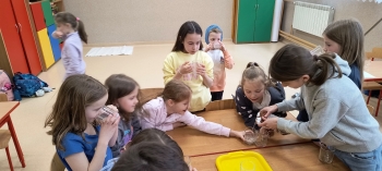 IMG_20260413_141304807