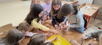 IMG_20260413_141243340_HDR