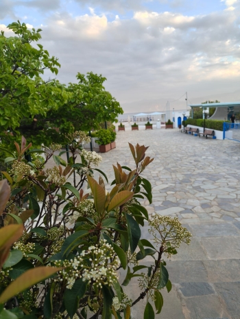 WhatsApp Image 2026-04-29 at 08.47.23.jpeg