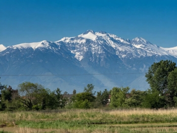 WhatsApp Image 2026-04-29 at 08.47.25 (1).jpeg